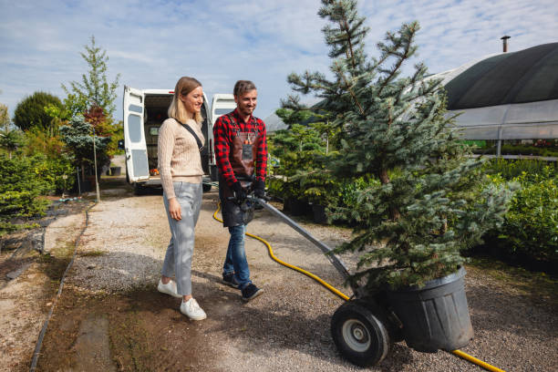 Lawn Watering Services in Markle, IN